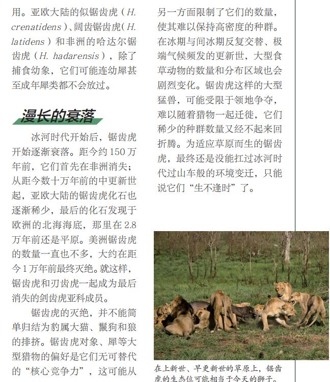 你对冰河世纪所有的好奇心，都能在这里得到满足丨蝌学荐书