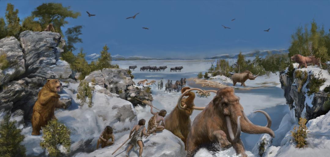 你对冰河世纪所有的好奇心，都能在这里得到满足丨蝌学荐书