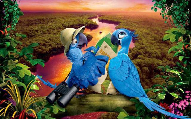 里约大冒险：金刚鹦鹉胆小不会飞，在爱的鼓励下终于勇敢了一回！