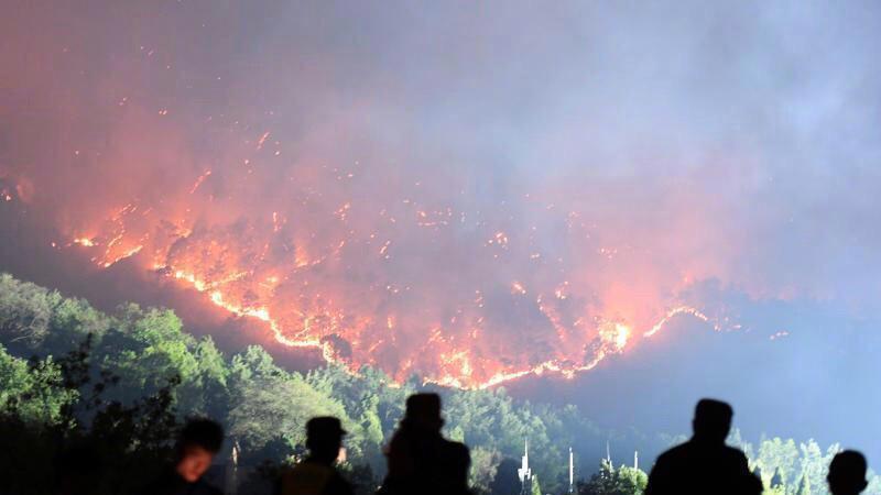 吉卜力动画：风之谷是宫崎骏描述生命之源和探索腐海秘密的使命！