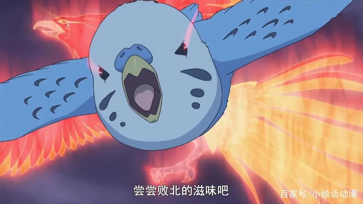 厨病激发男孩：出现吧，永恒之力风暴！