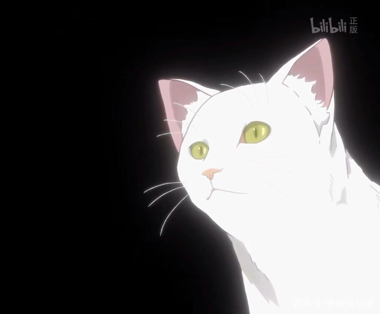 这个宝藏动漫你发现了吗｜一场关于宝石的邂逅之旅