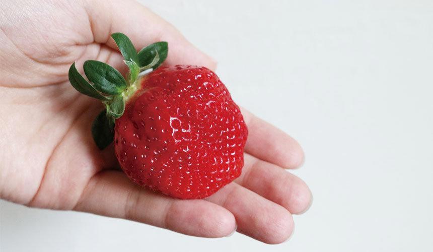 福冈自由行攻略：太宰府天满宫、福冈城，一兰拉面、小鸡馒头