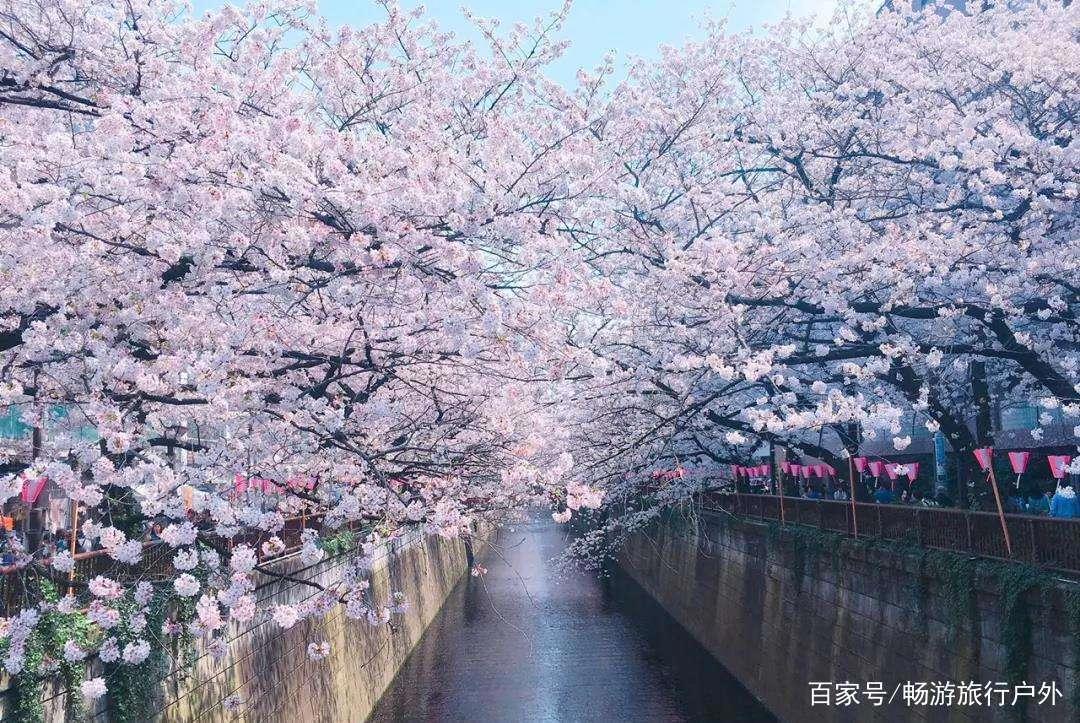 请查收！2019超详细日本旅游攻略干货篇！