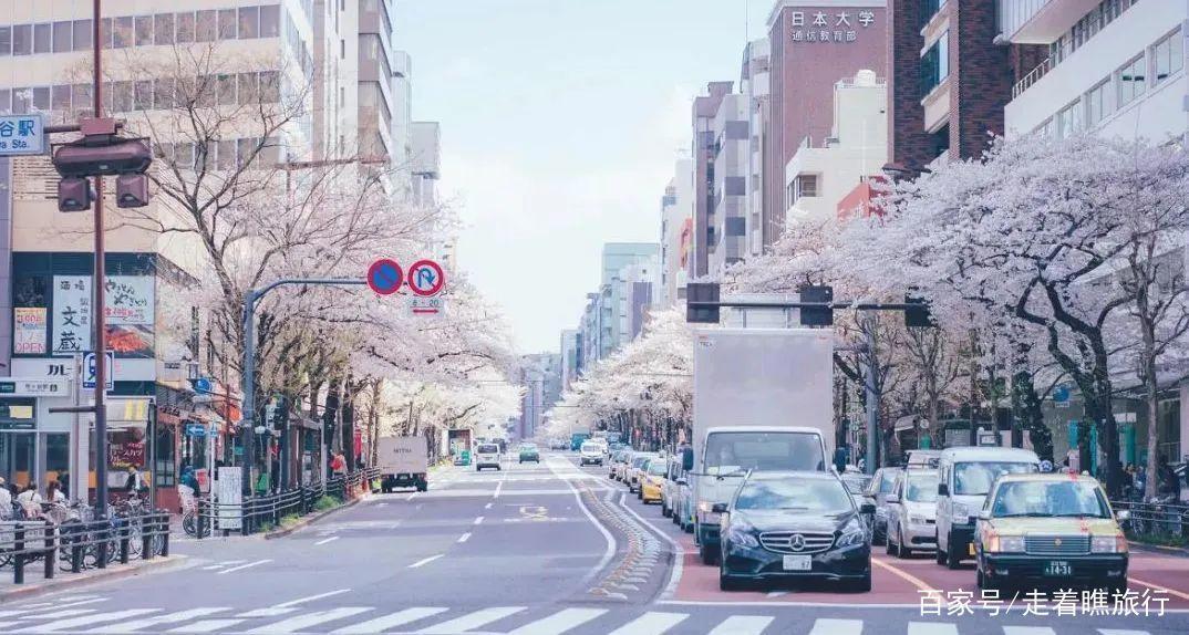 2020第一波樱花前线来了，粉了粉了