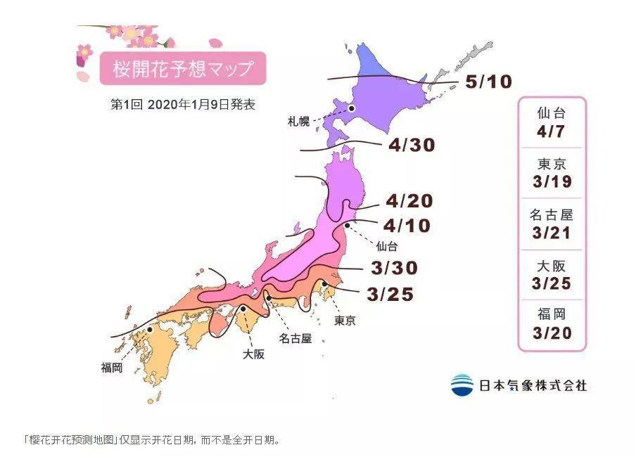 2020第一波樱花前线来了，粉了粉了