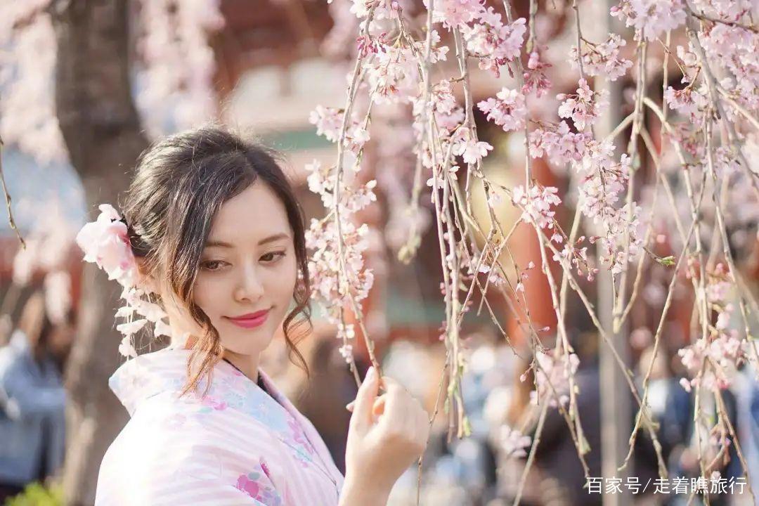 2020第一波樱花前线来了，粉了粉了