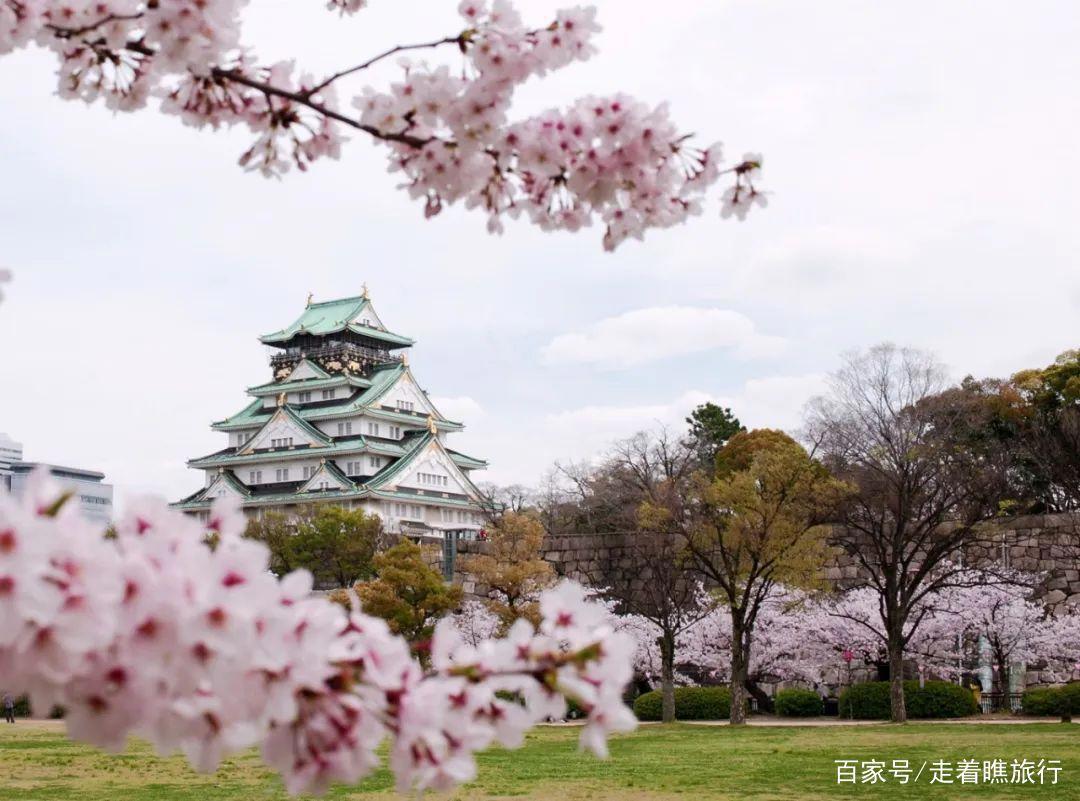 2020第一波樱花前线来了，粉了粉了