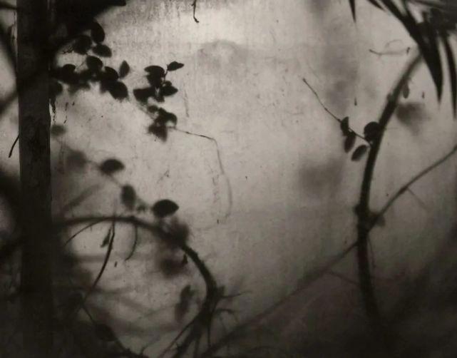 当我们说赵露思可爱时，到底在说什么？