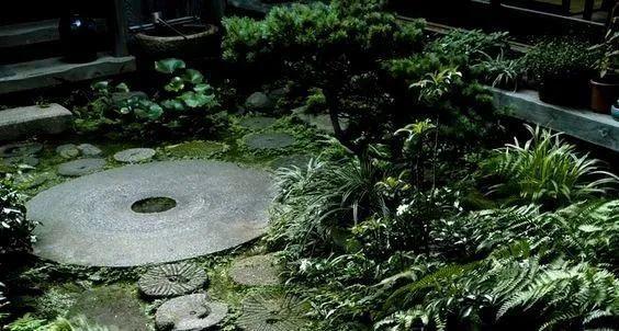 当我们说赵露思可爱时，到底在说什么？