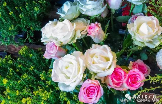 8885、2382、1959、1880、56｜与这座城市的相逢成就别样的故事