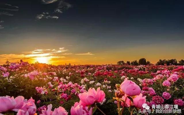 8885、2382、1959、1880、56｜与这座城市的相逢成就别样的故事