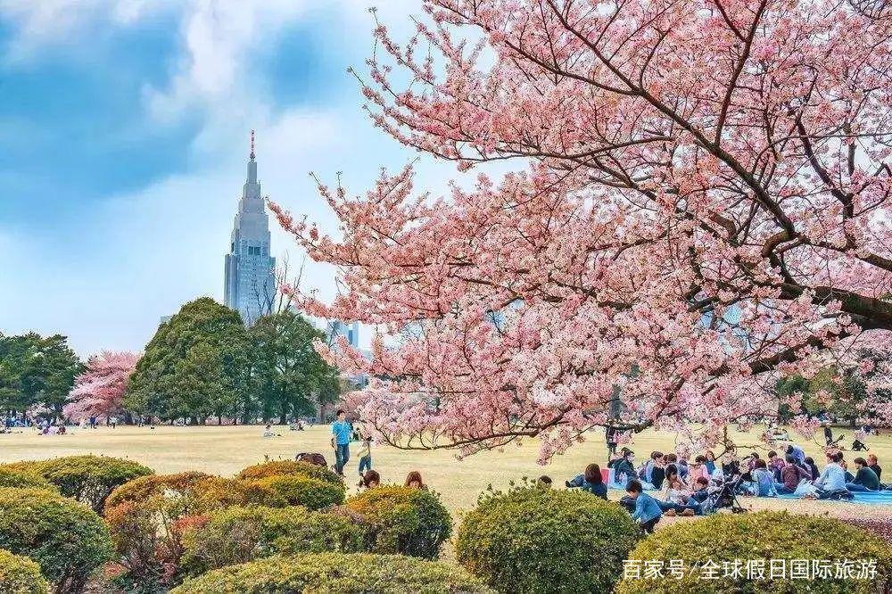 碰瓷现场？当二次元撞上三次元，快来看这里直接把动漫搬到现实啦