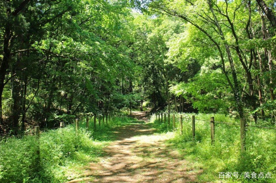 日本动漫取景地打卡指南来了，圣地巡礼必备！