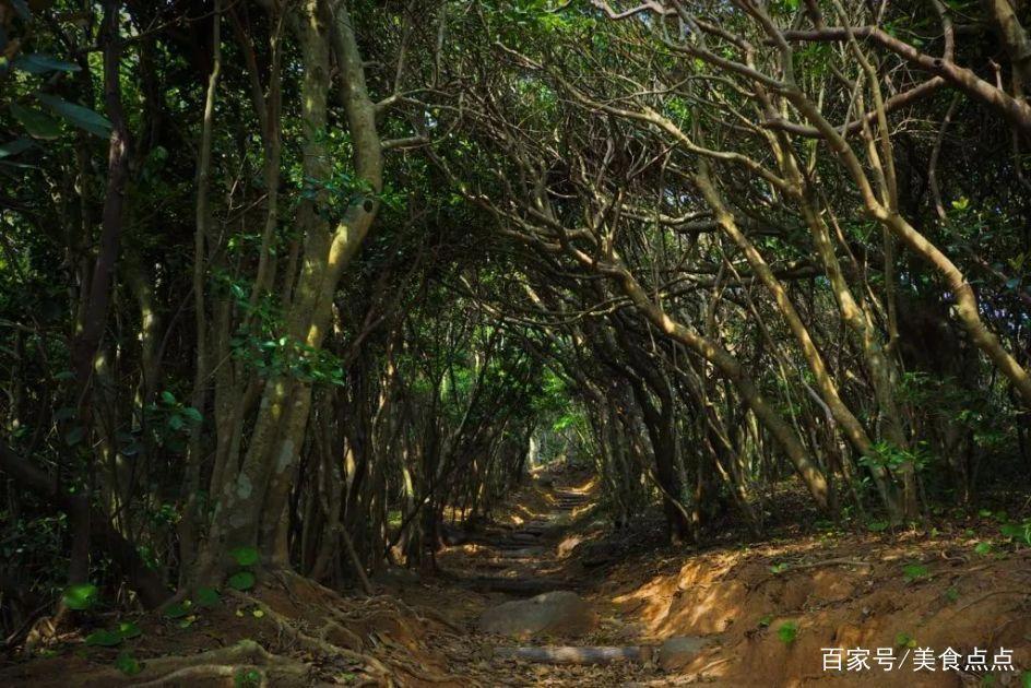 日本动漫取景地打卡指南来了，圣地巡礼必备！