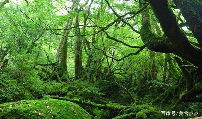 日本动漫取景地打卡指南来了，圣地巡礼必备！