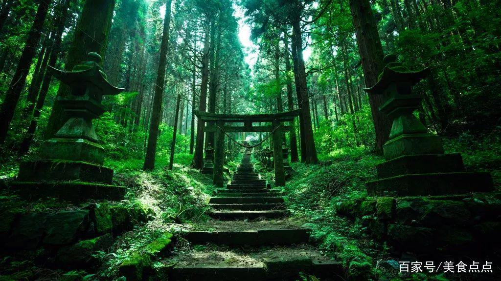 日本动漫取景地打卡指南来了，圣地巡礼必备！
