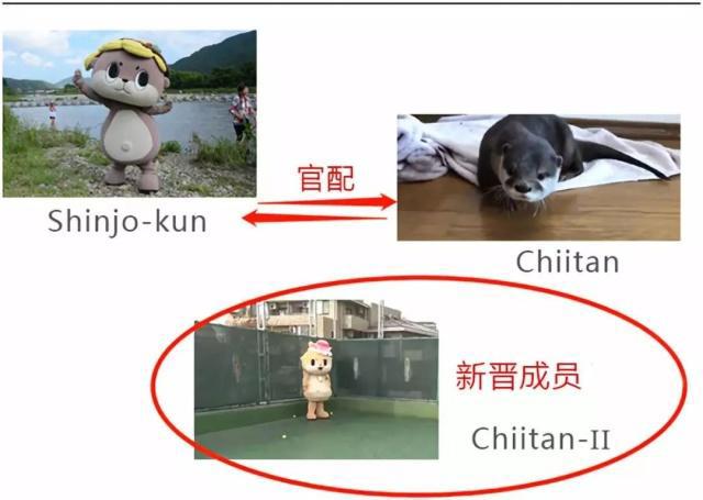 日本吉祥物被废，引发全球众怒，背后却藏着大大的心机