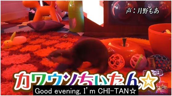 日本吉祥物被废，引发全球众怒，背后却藏着大大的心机