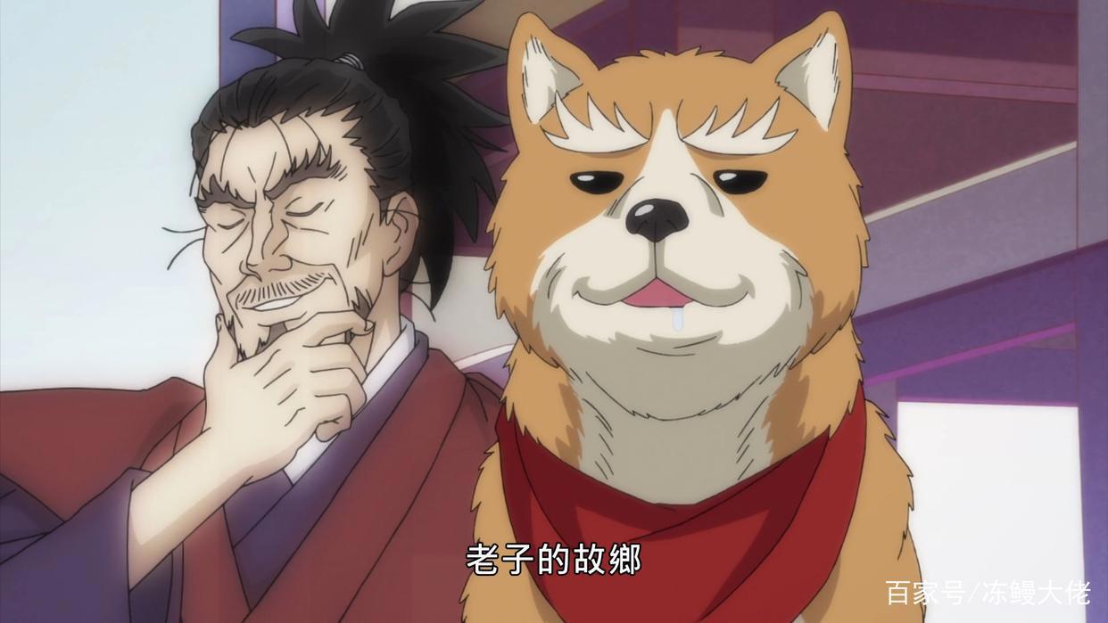 一月新番“好看不火”系列，这几部高分动漫，播放量却很惨淡