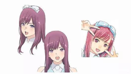 宅男（女）怒吼！神推偶像登上武道馆我就死而无憾了！