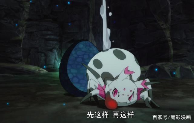 转生成蜘蛛又怎么样：看着看着就变成了美食番了