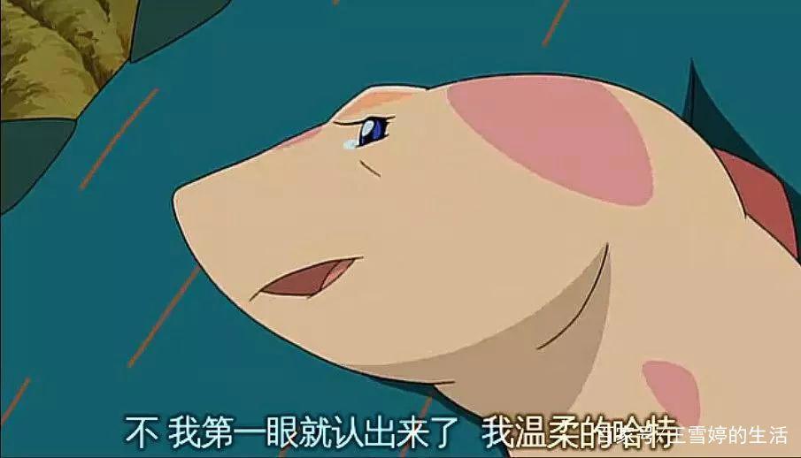 《你看起来好像很好吃》，感人又可爱的电影