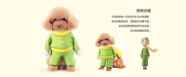 文创产品设计-《小王子》动漫衍生品