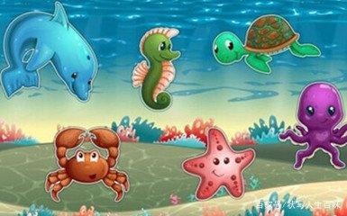 小丑鱼的忏悔与顿悟