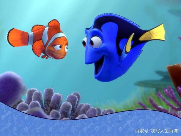 小丑鱼的忏悔与顿悟