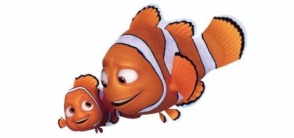 海底总动员：亲子关系最好的相处方式，这3句话已经说透了