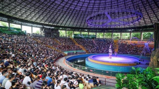 成了动漫节分会场，一天5万人涌入，杭州野生动物世界游客量再创新高