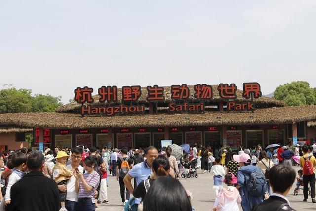 动漫节带动杭州野生动物世界游客量再创新高