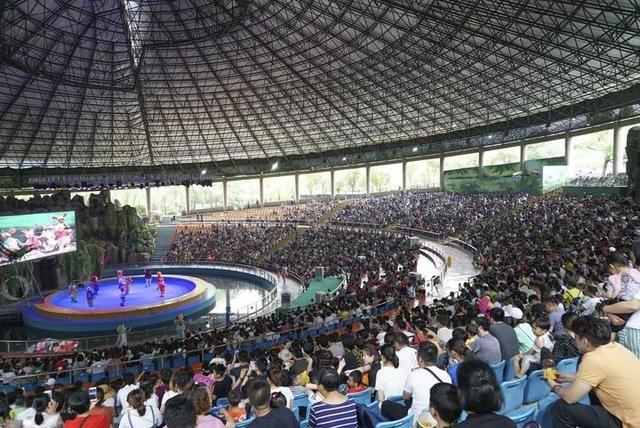 动漫节带动杭州野生动物世界游客量再创新高