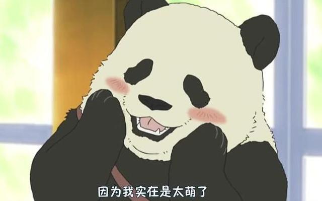 日漫中能萌化人心的5位熊猫，第3位最流氓，第5位已经成为了传奇