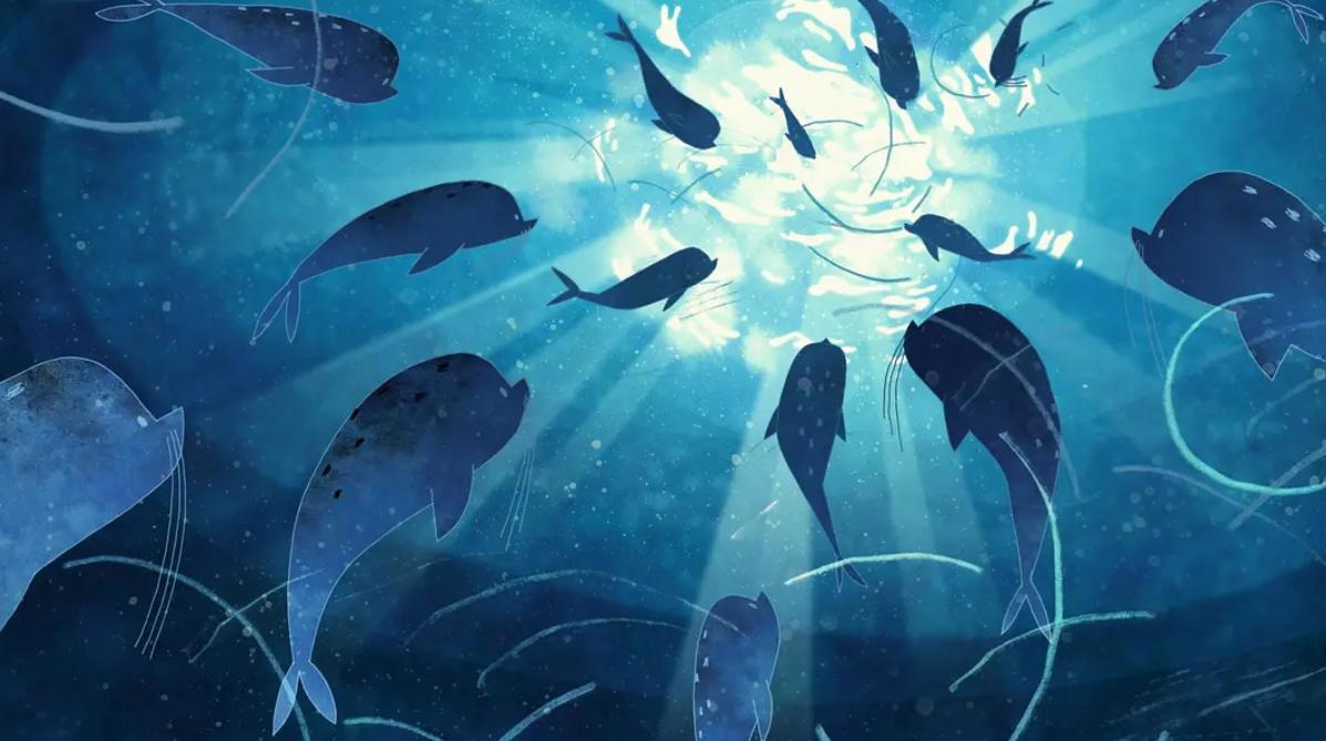 票房高达193亿，5部震撼人心的动画电影，不要再错过！