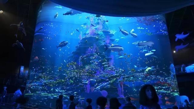 《海底总动员2：多莉去哪儿》很迪士尼的动画，但稍微有点套路