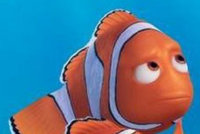 盘点《海底总动员2：多莉去哪儿》中的那些可爱角色