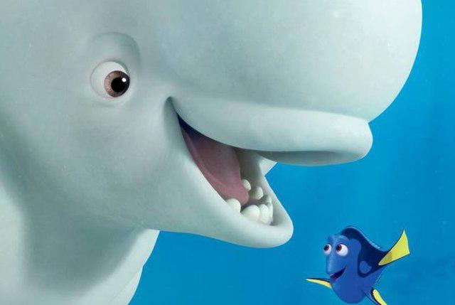 盘点《海底总动员2：多莉去哪儿》中的那些可爱角色