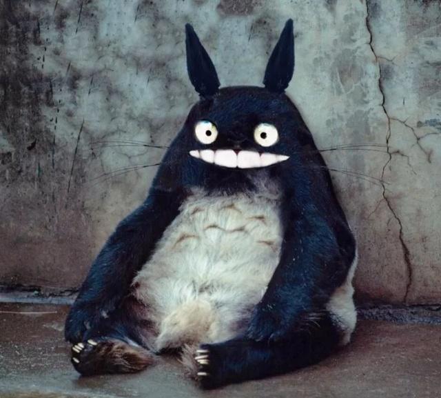 吉卜力动画角色写实化，龙猫长相诡异，红猪成历史书人物