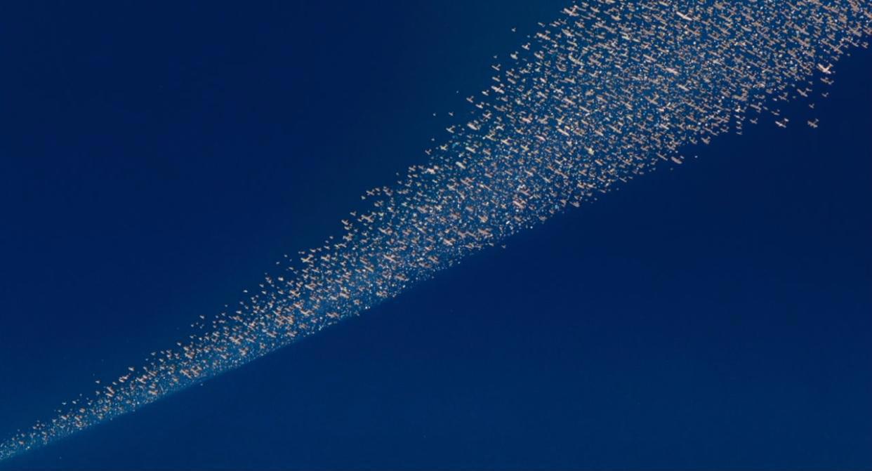 红猪：除了菲奥的吻救了波鲁克，还有这些细节，大家注意到了吗？