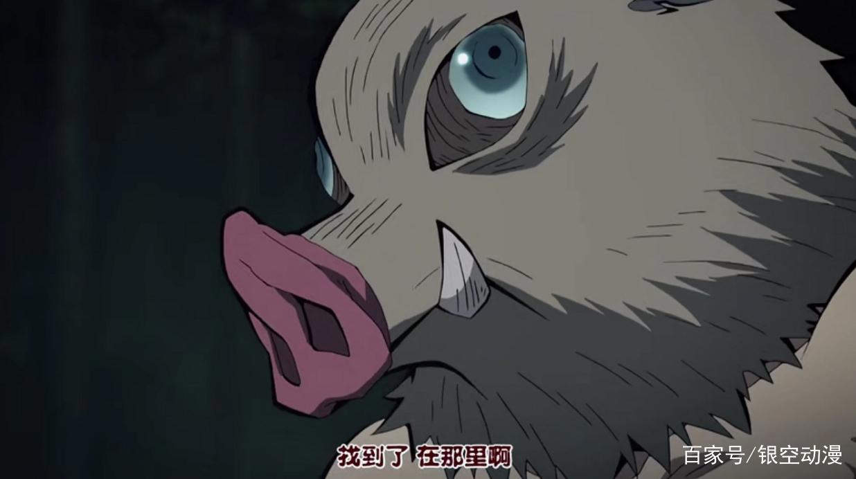 鬼灭之刃15：伊之助展示兽之呼吸，善逸仗义进入蜘蛛之鬼领地