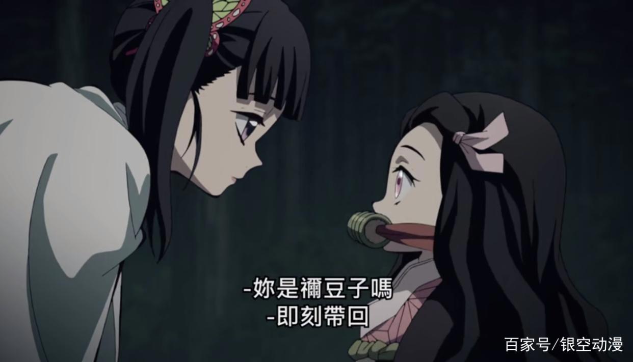 鬼灭之刃21：那田蜘蛛山结束，祢豆子被香奈乎追杀，“柱”们集合