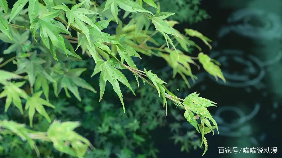 《言叶之庭》成功在哪里？新海诚：再玻璃心的人都可以放心看