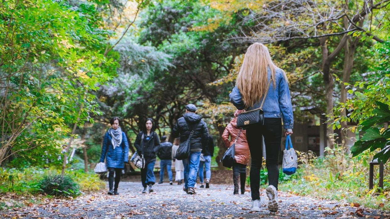 东京新宿御苑打卡动漫《言叶之庭》同款视角