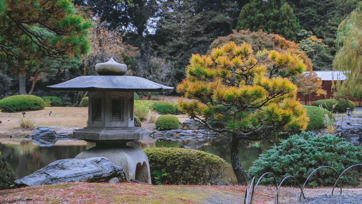 东京新宿御苑打卡动漫《言叶之庭》同款视角