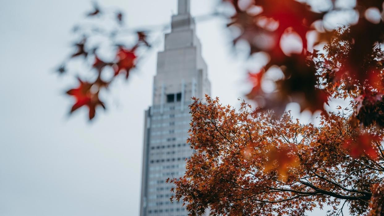 东京新宿御苑打卡动漫《言叶之庭》同款视角