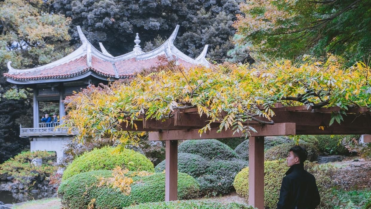 东京新宿御苑打卡动漫《言叶之庭》同款视角