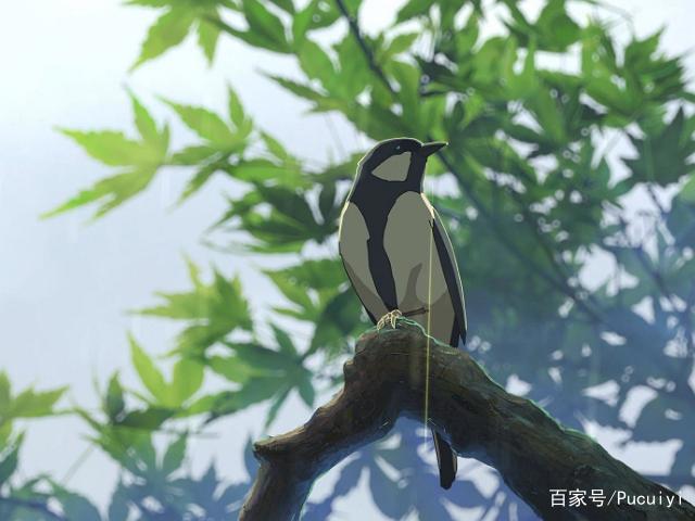 新海诚作品言叶之庭，你名之前最佳治愈神作，超九成爱情动画！