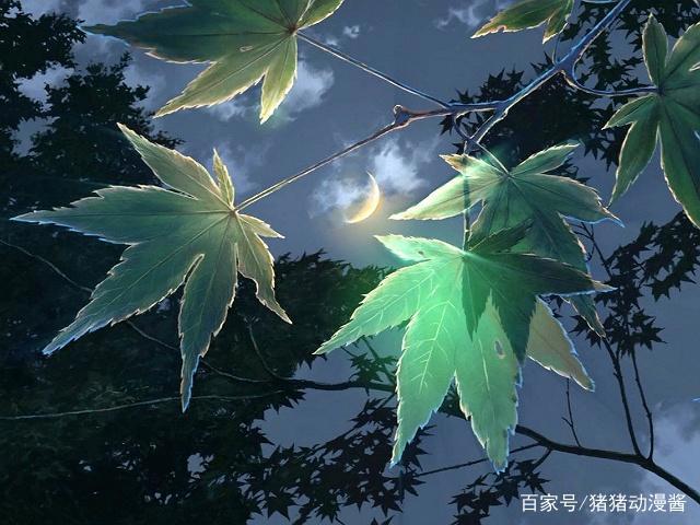 动漫《言叶之庭》：真心相爱的人会永远在一起